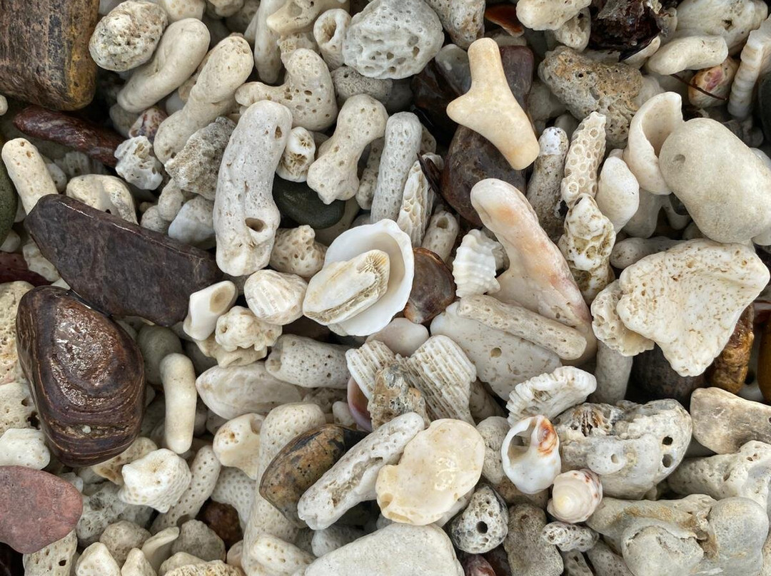Coral Beach and the Beak, Conway National Park-舒特港必去景点