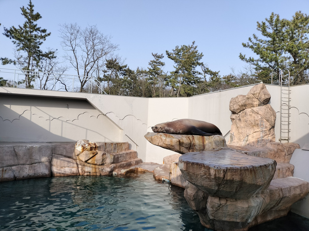Marinepia Nihonkai-新泻市必去景点
