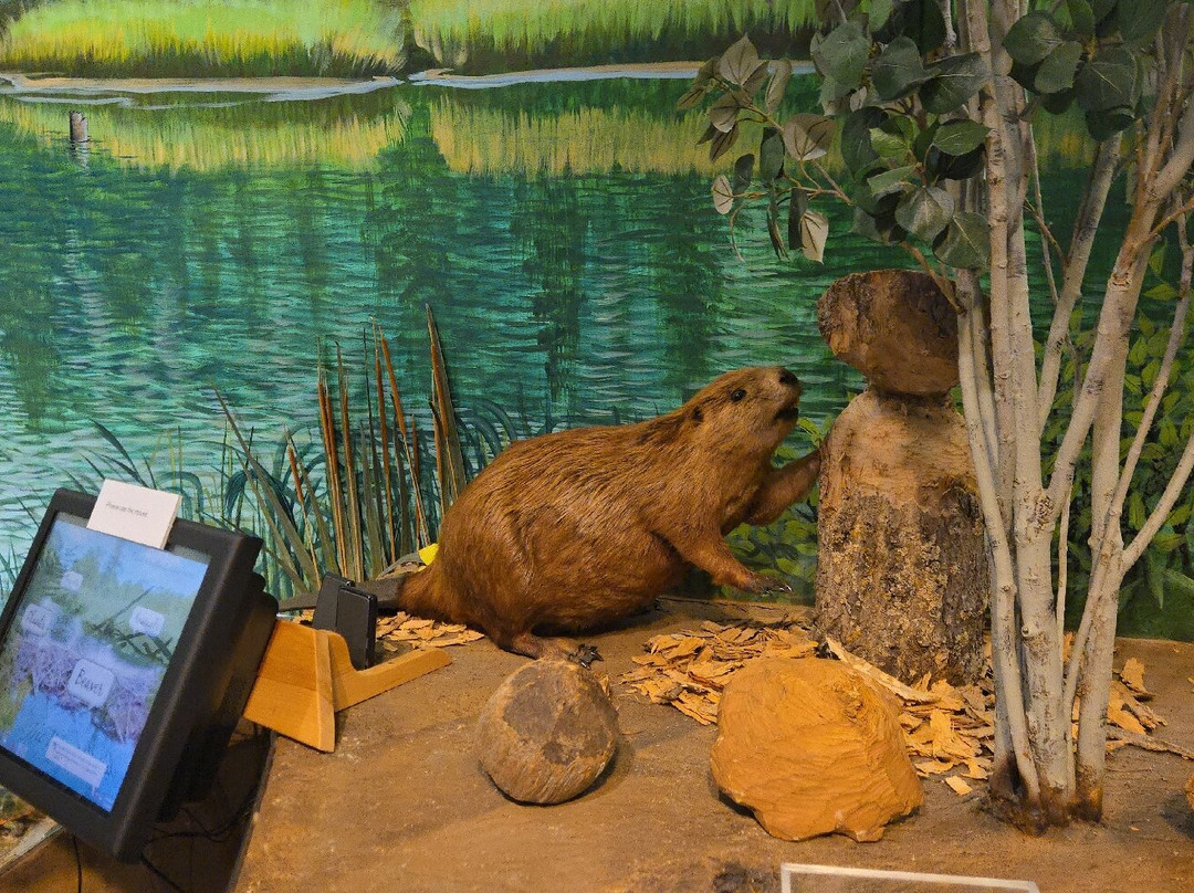 Marquette Regional History Center-Marquette必去景点