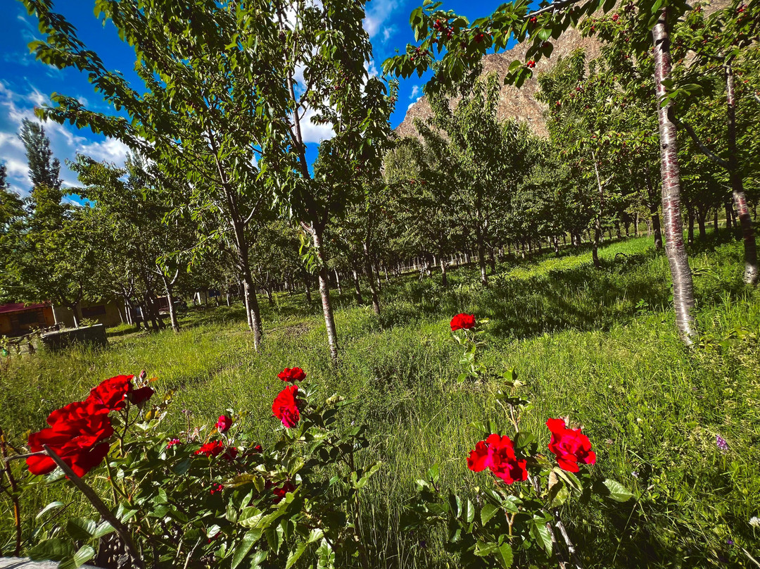 Safari Resort Skardu
