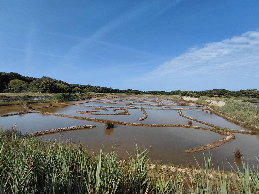 Salines de Truscat-Sarzeau必去景点