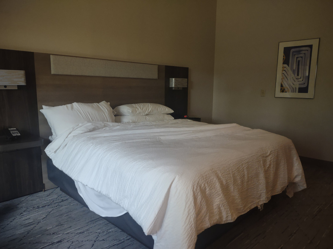 Holiday Inn Express Tifton by IHG主图