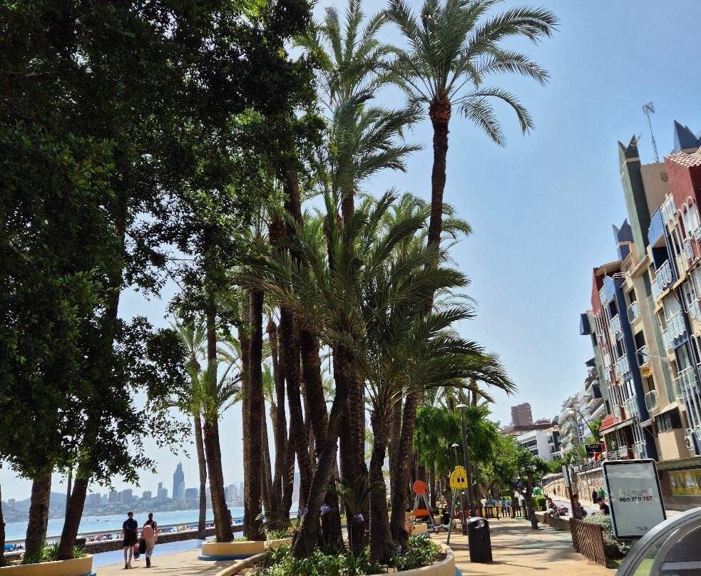 Parc d'Elx-贝尼多姆必去景点