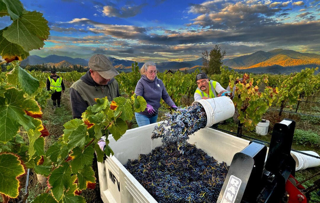 Troon Vineyard-格兰茨帕斯必去景点