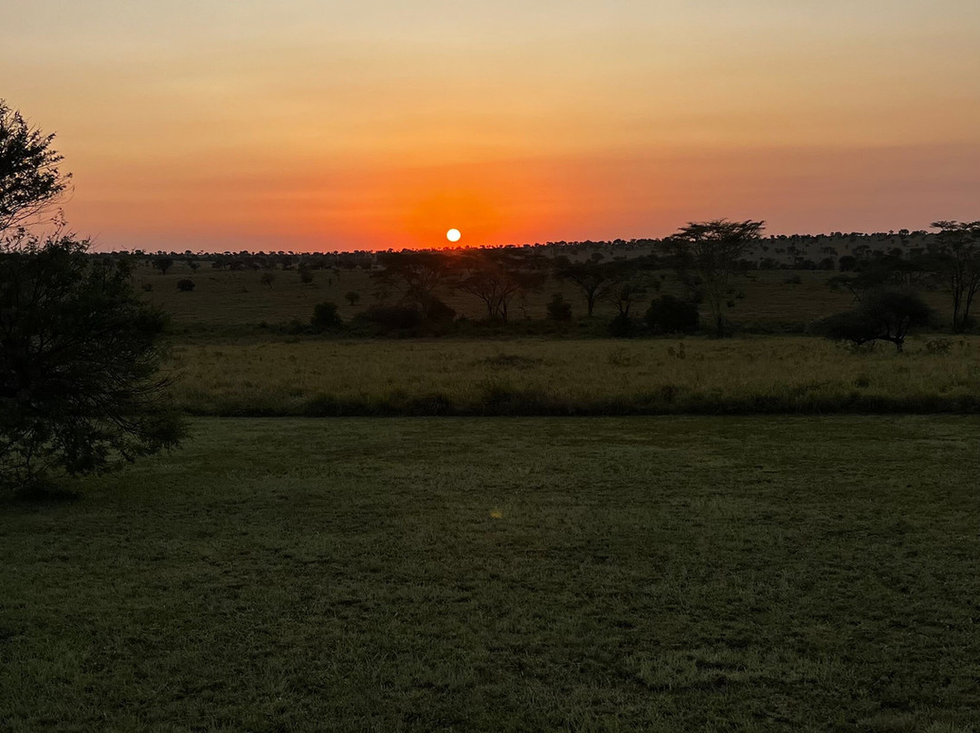 Cruize Wild Safaris-Iringa必去景点