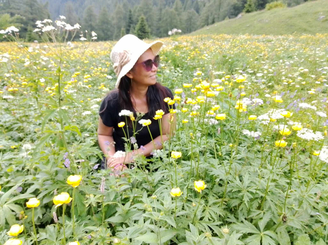 Parco delle Orobie Bergamasche-Albino必去景点