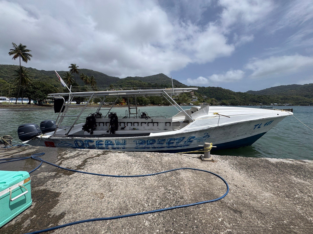 Tobago Dive Experience-Speyside必去景点