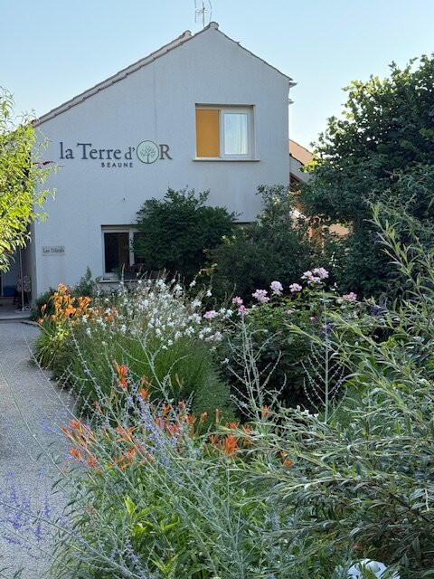 La Terre d'Or主图