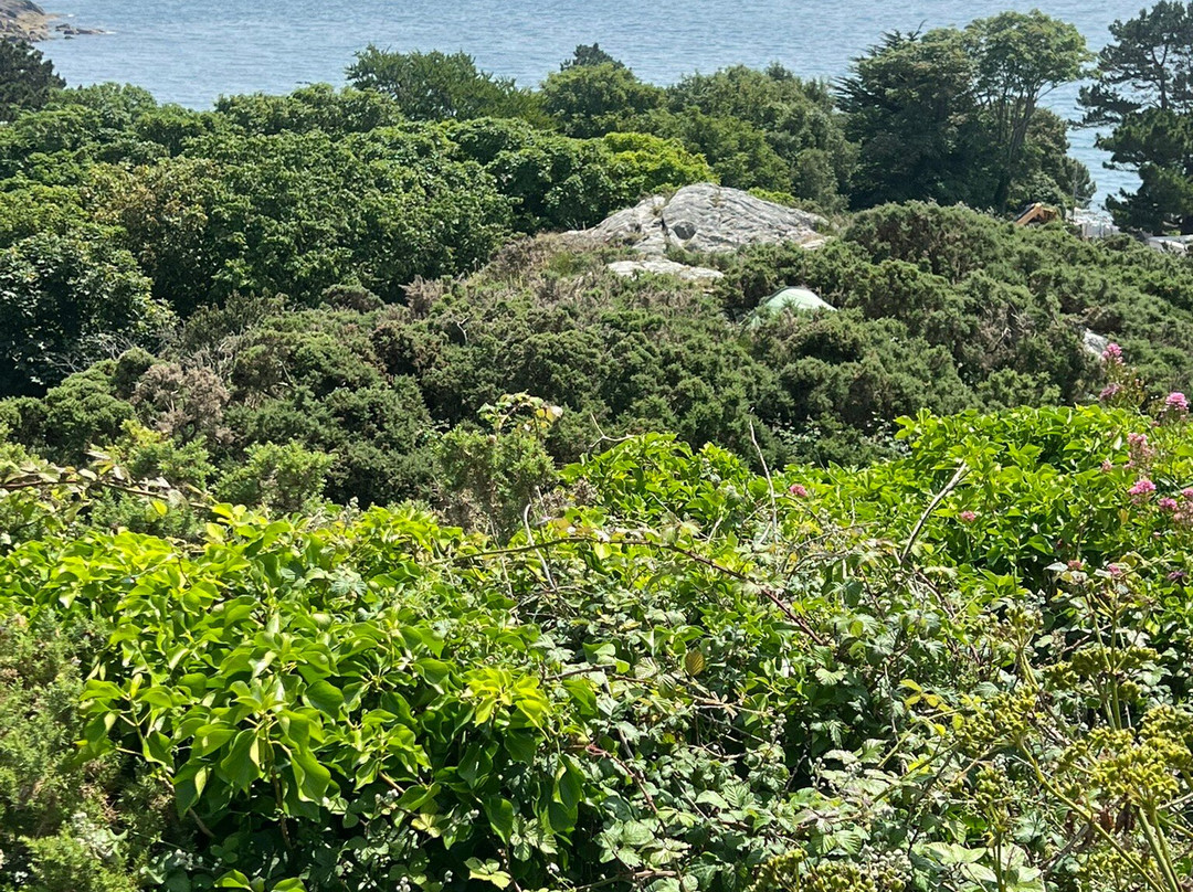 Sorrento Park-达尔基必去景点