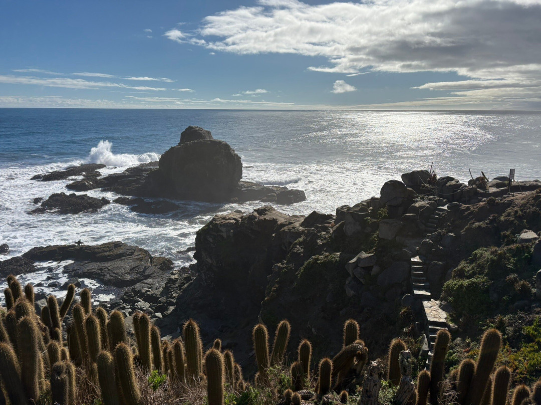 Punta De Lobos-皮钦勒姆必去景点