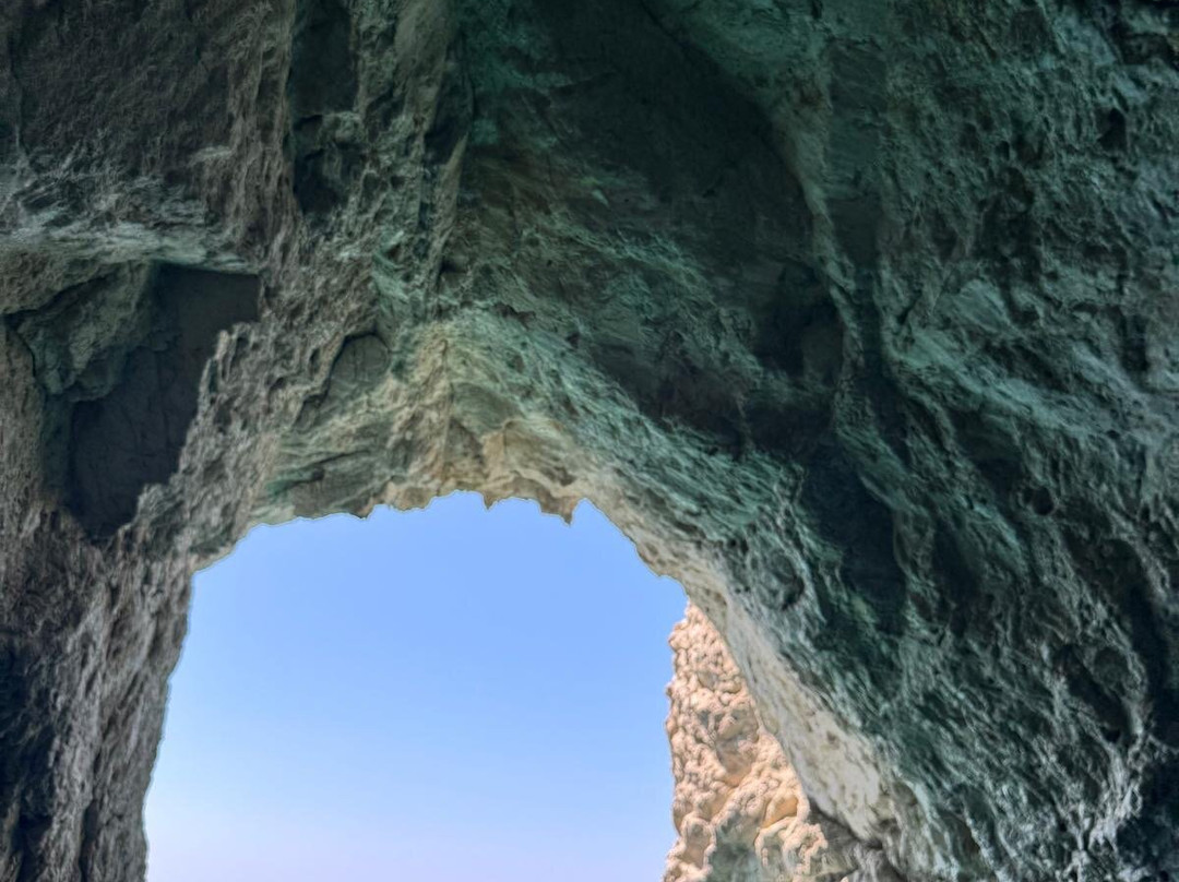 Zakynthos Turtle Rescue Center-瓦西里科斯必去景点