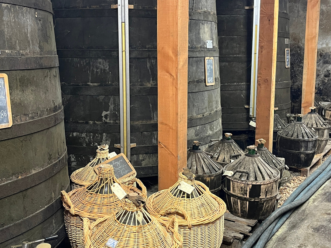 Cognac Vaudon-Echallat必去景点