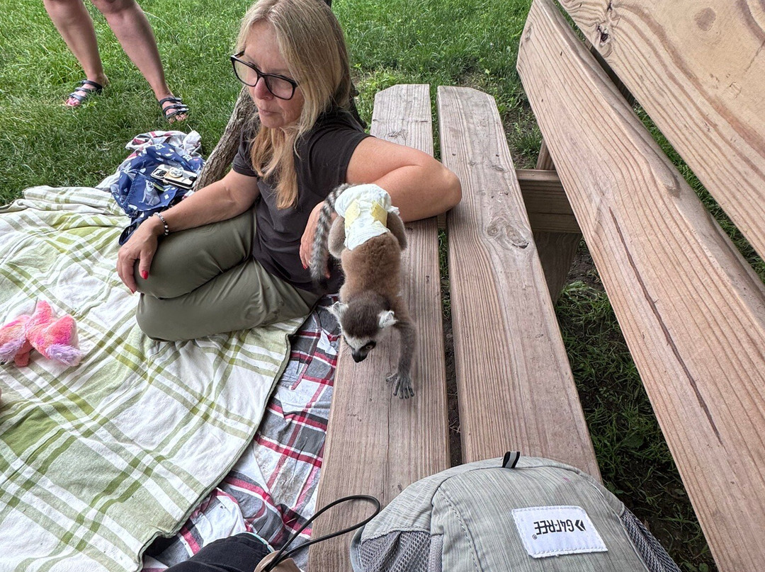 Bear Den Zoo & Petting Farm-Waterford必去景点