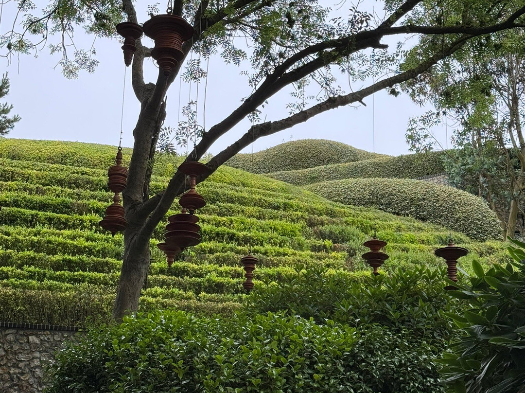Jardins d'Etretat-埃特勒塔必去景点