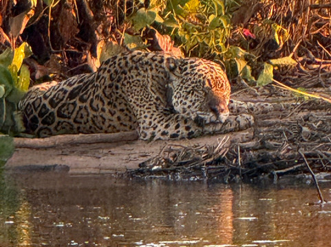 Biodiverse Brazil Tours-Chapada dos Guimaraes必去景点