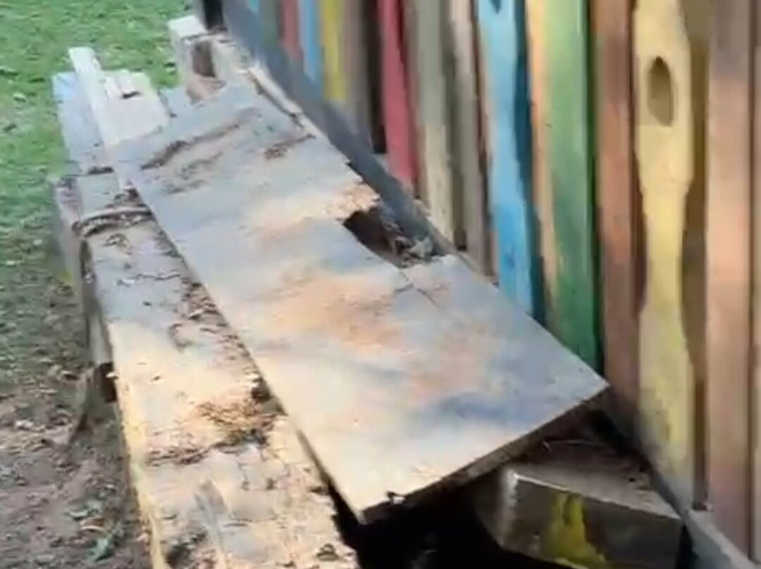 Fazenda Genève-特雷索波利斯必去景点