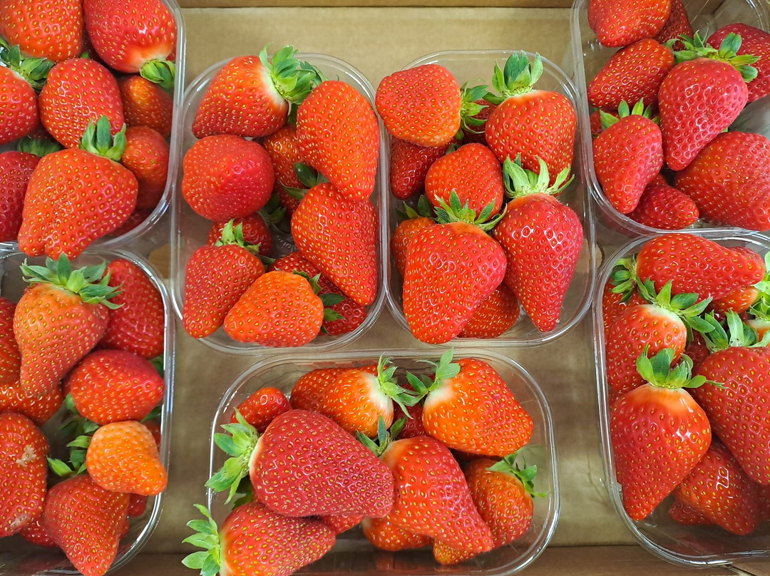 Azienda Agricola La Quadra