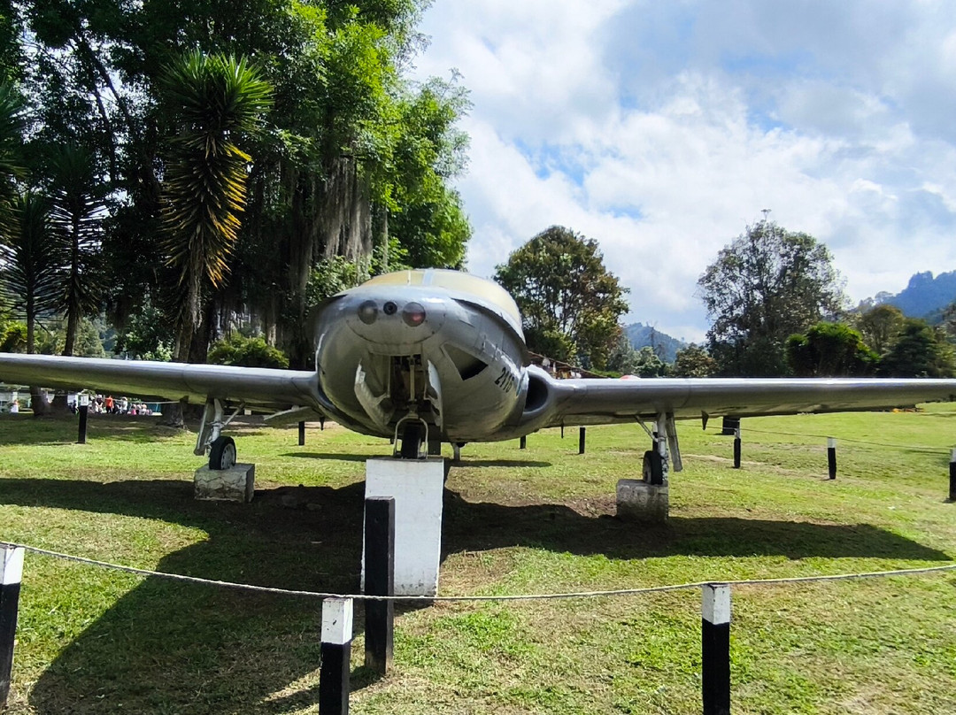 Bosque Popular El Prado-Manizales必去景点