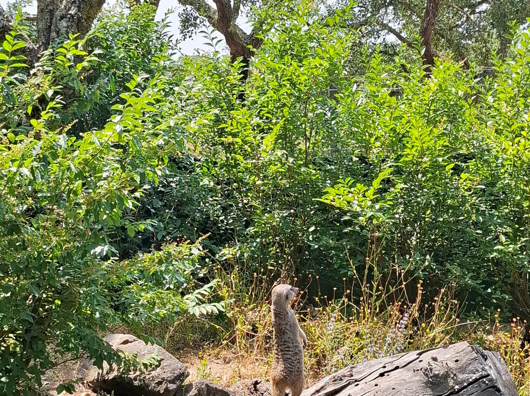 Monte Selvagem-Lavre必去景点