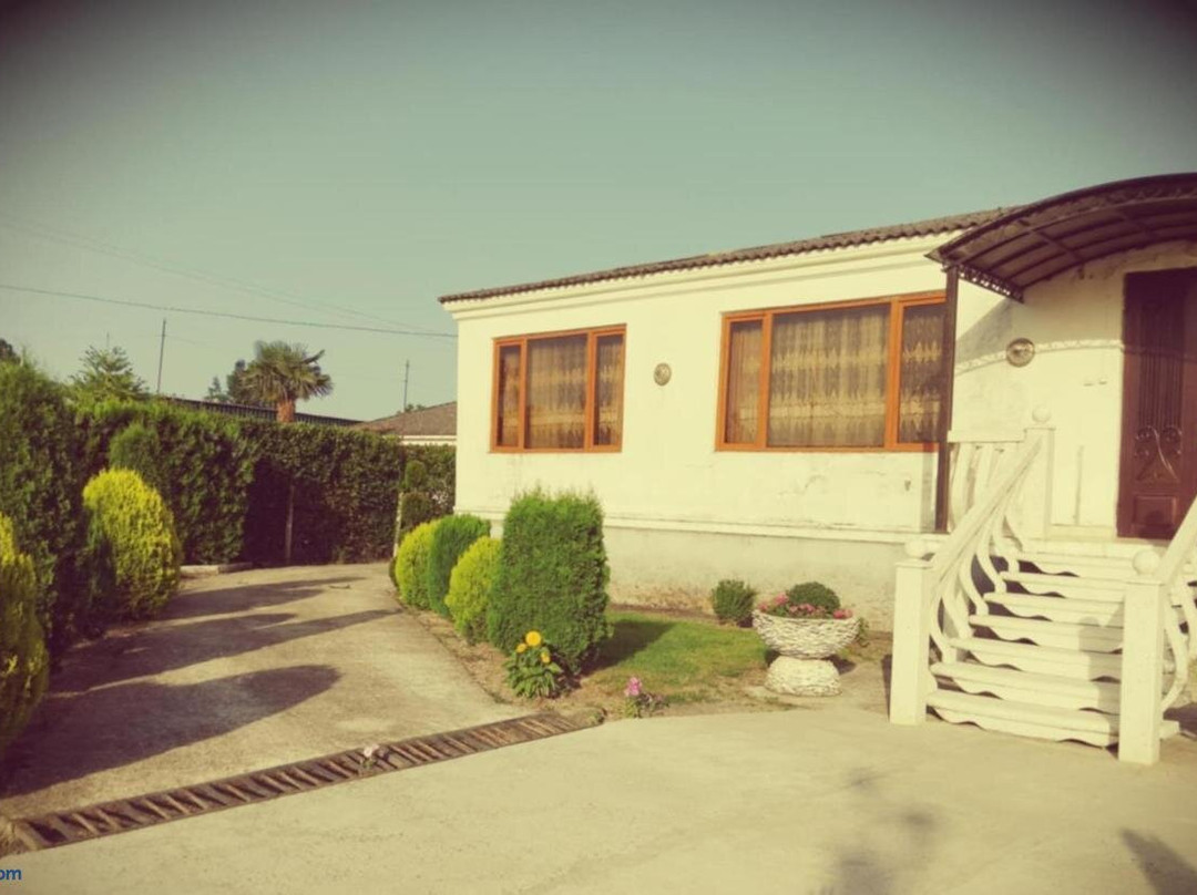 Ani Guest House