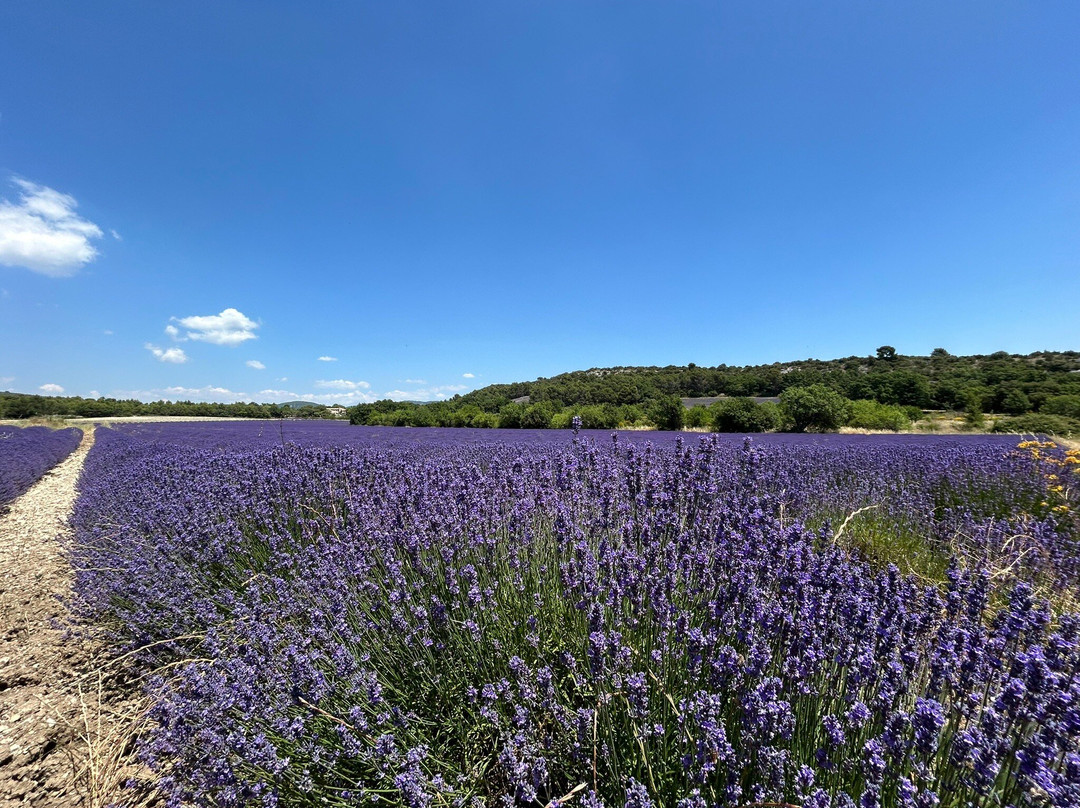La Falaise de la Madeleine-Lioux必去景点