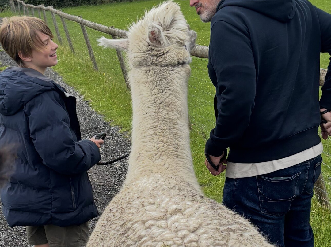 White Peak Alpaca Farm-Mobberley必去景点