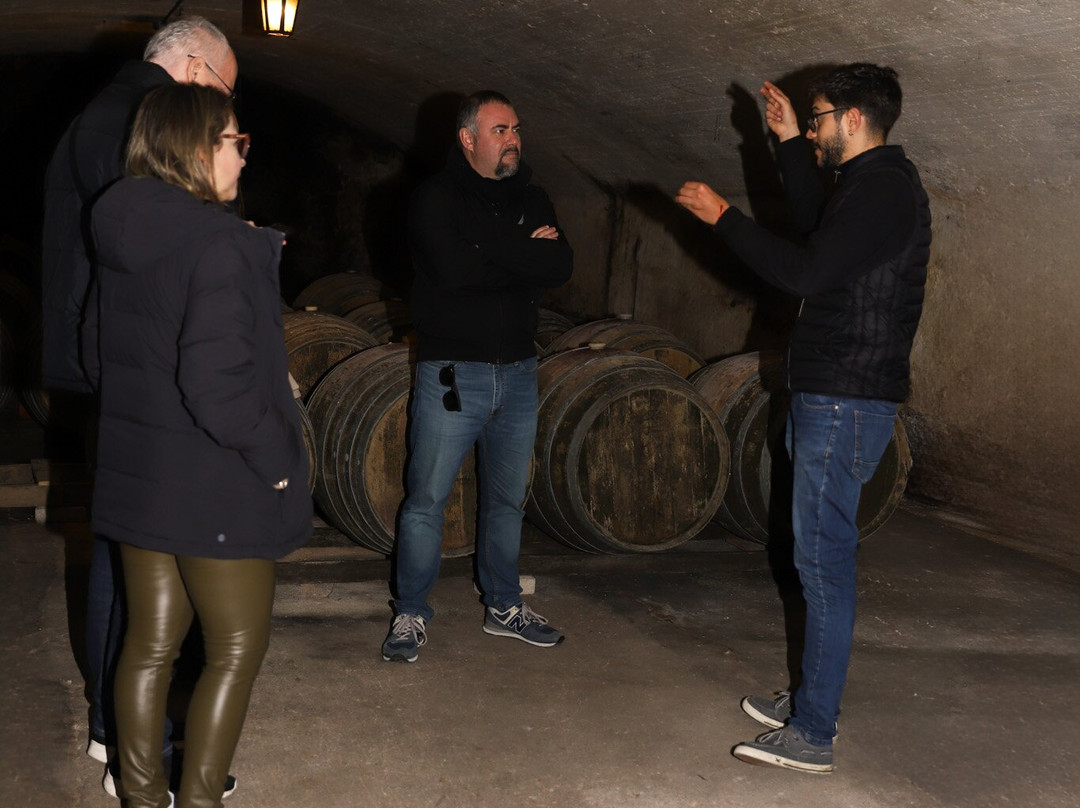 Bodegas Carrau-蒙得维的亚必去景点