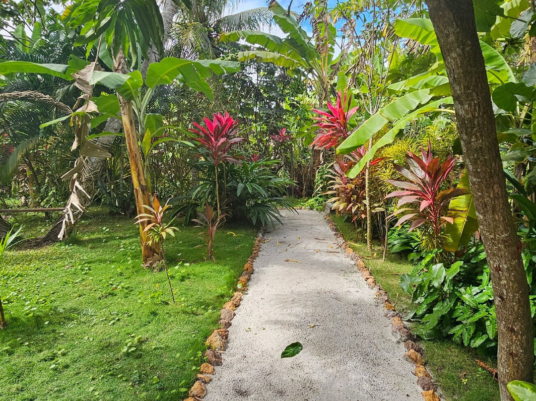 Recanto Pacheco-Rio do Fogo必去景点