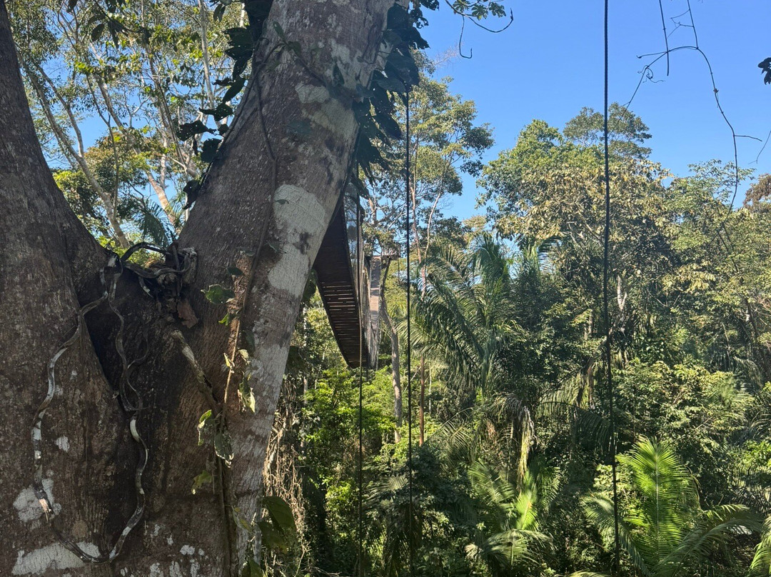 Tambopata Wild Life Perú-San Sebastian必去景点