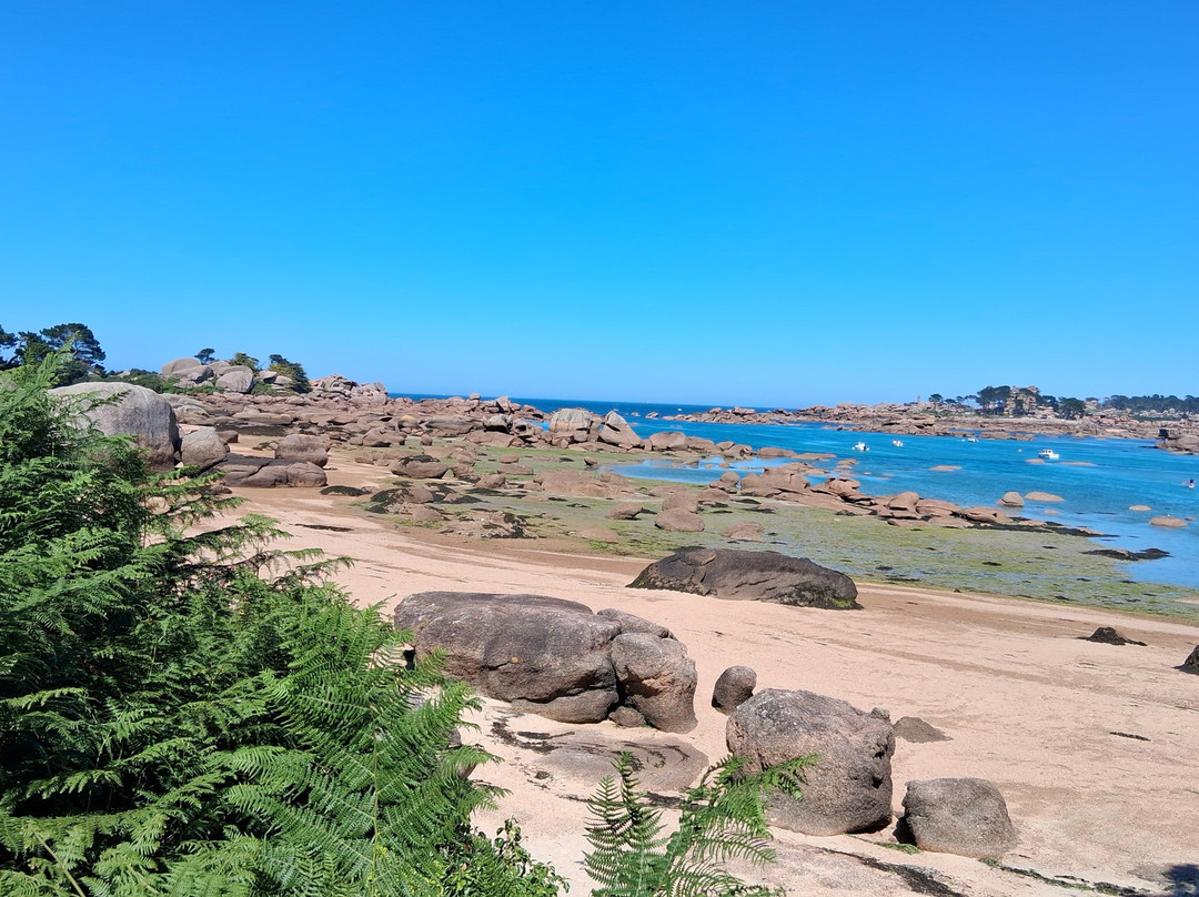 Plage de la Greve Blanche-Tregastel必去景点