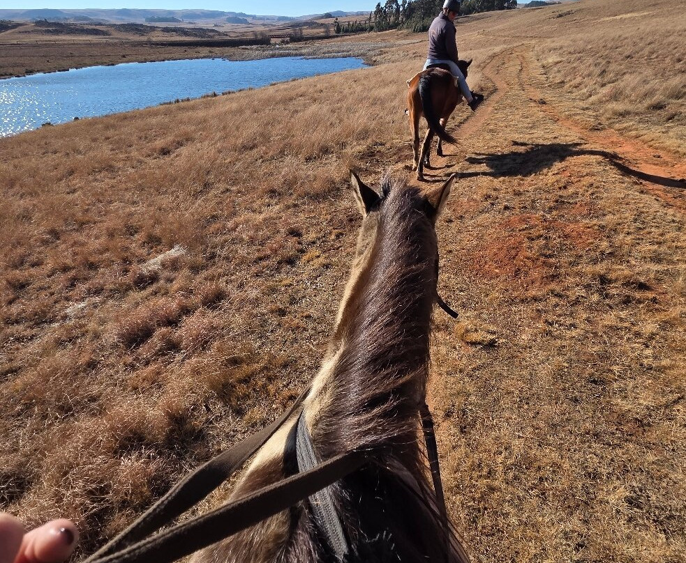 Dullstroom on Horseback-德尔斯特鲁姆必去景点