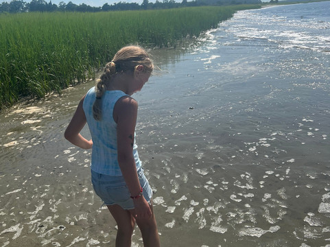 Southern Shores Cruises-美特尔海滩必去景点