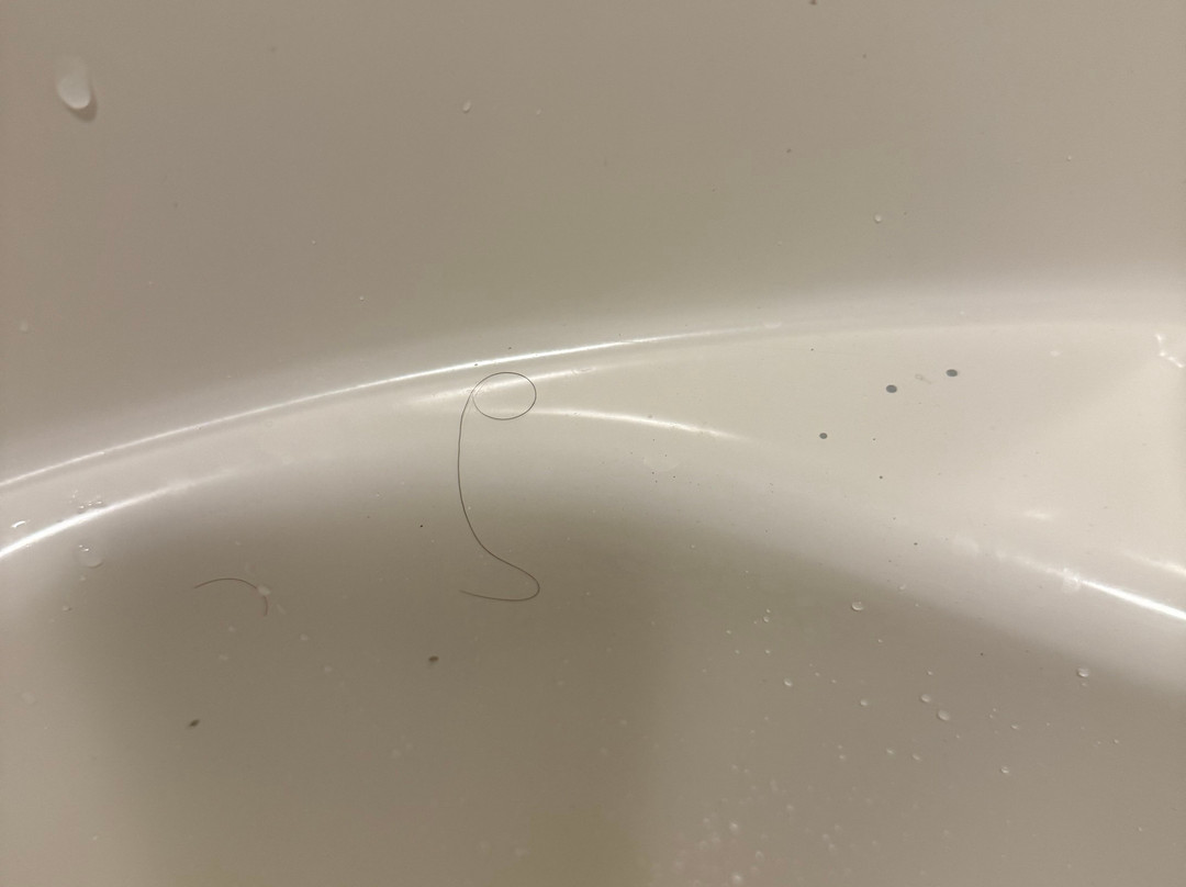 AmericInn by Wyndham Mauston主图