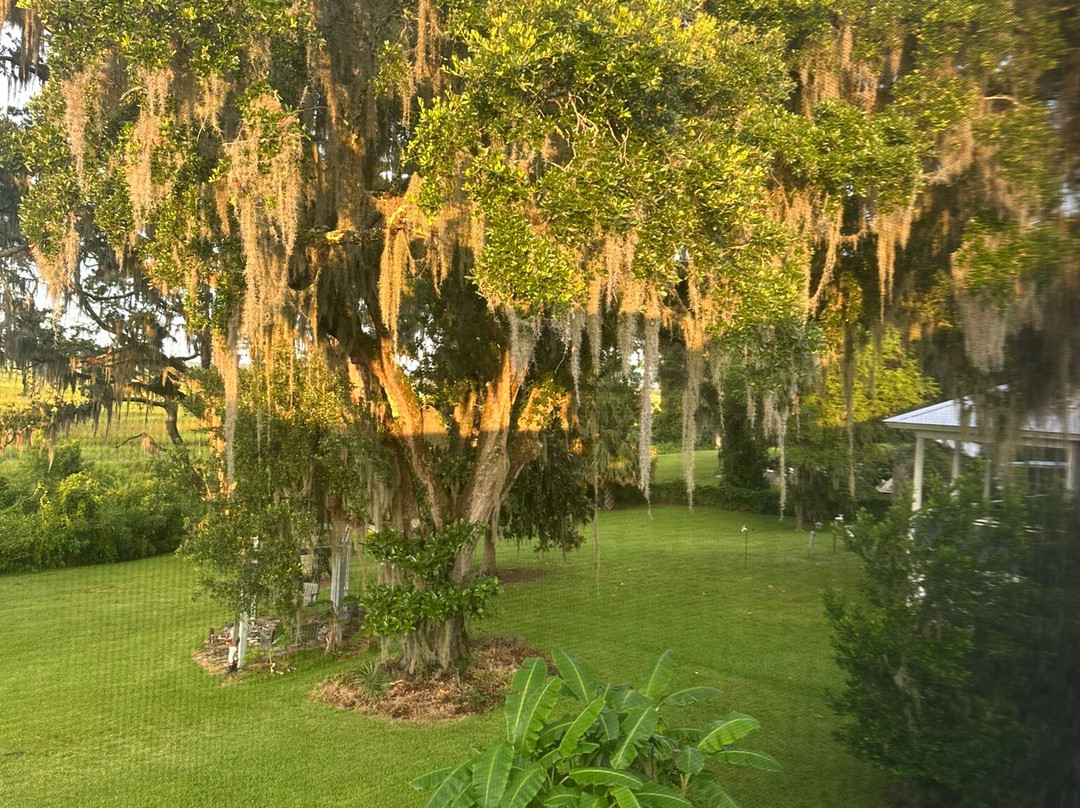 Darien Waterfront Inn - Bed & Breakfast主图