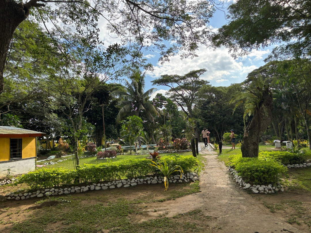 Tifajek Mud Pool Hot Spring And Tours-Votualevu必去景点