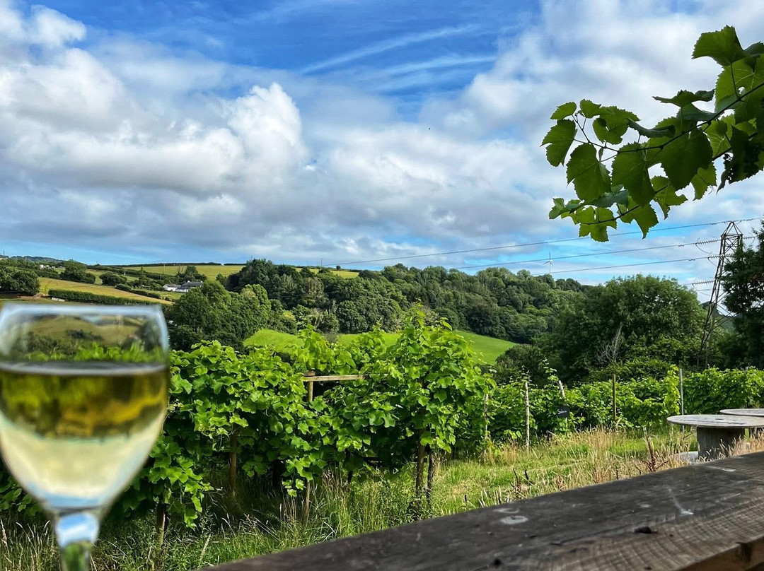 Looe Valley Vineyard-卢城必去景点