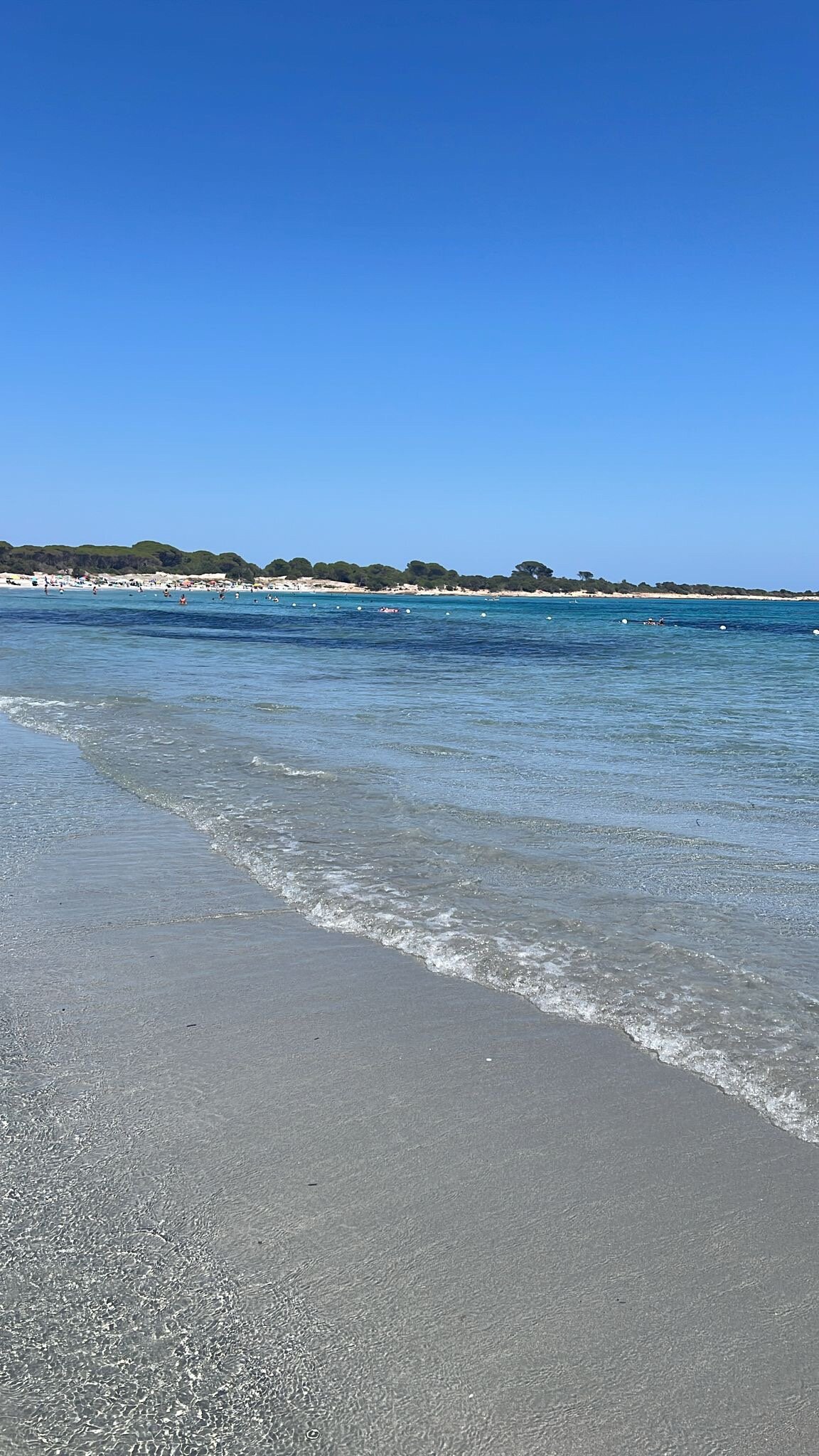 Cala Ginepro Hotels-官方