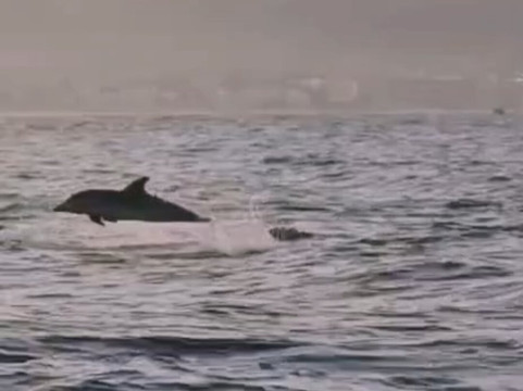 Antonio - Escursioni in Barca-Giardini Naxos必去景点