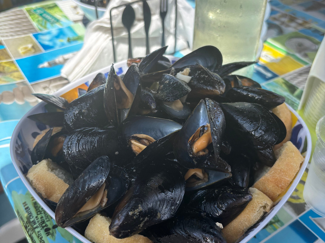 Asinara Garbo Charter-斯廷蒂诺必去景点