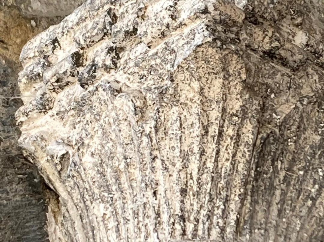 Esglesia de la Nativitat de Durro-Durro必去景点