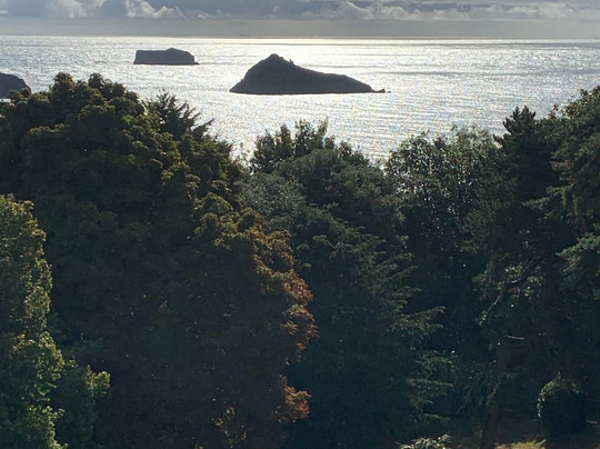 The Headland Hotel & Spa主图