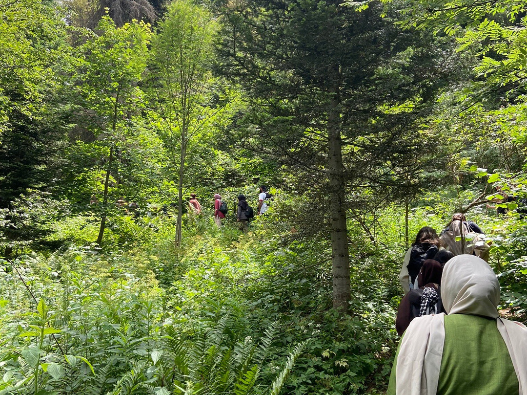 Bestination Tours-萨拉热窝必去景点