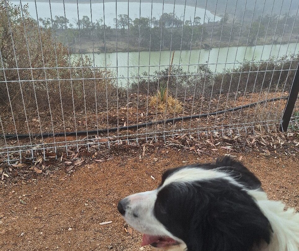 Rotary Centenary Cliff Top Walk Waikerie-Waikerie必去景点