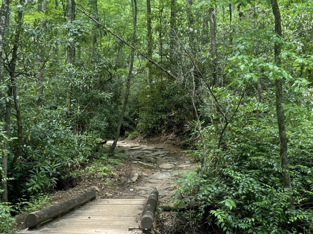 MTB Skills Factory-Pisgah Forest必去景点