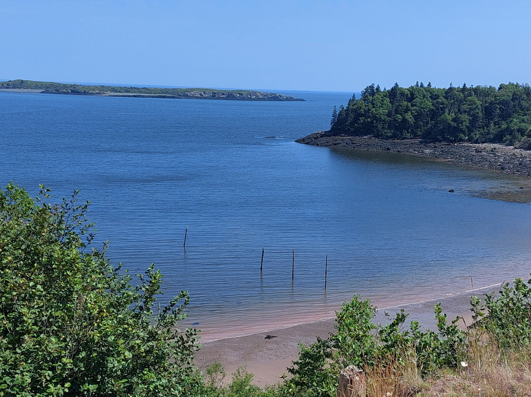 Irving Nature Park-圣约翰必去景点