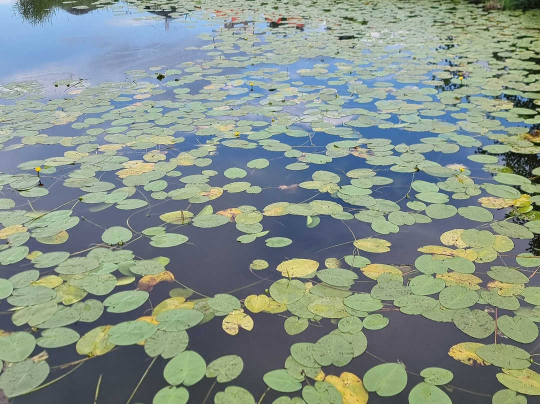 Vilnius Grand Resort主图