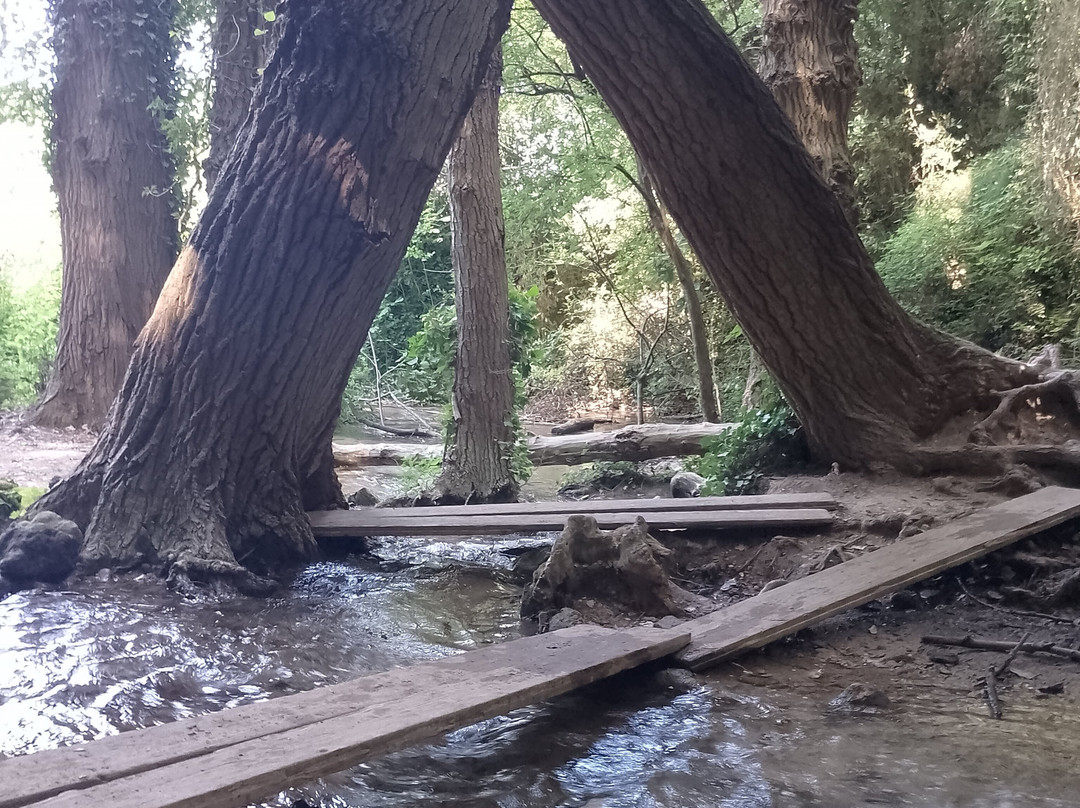 Le Cascate del Menotre-福利尼奥必去景点