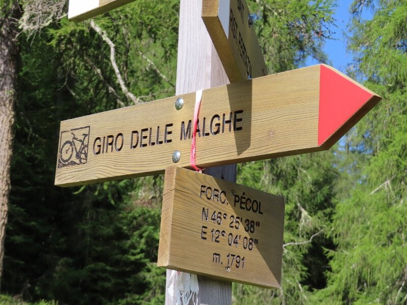 Passeggiata Giro delle Malghe-Selva di Cadore必去景点