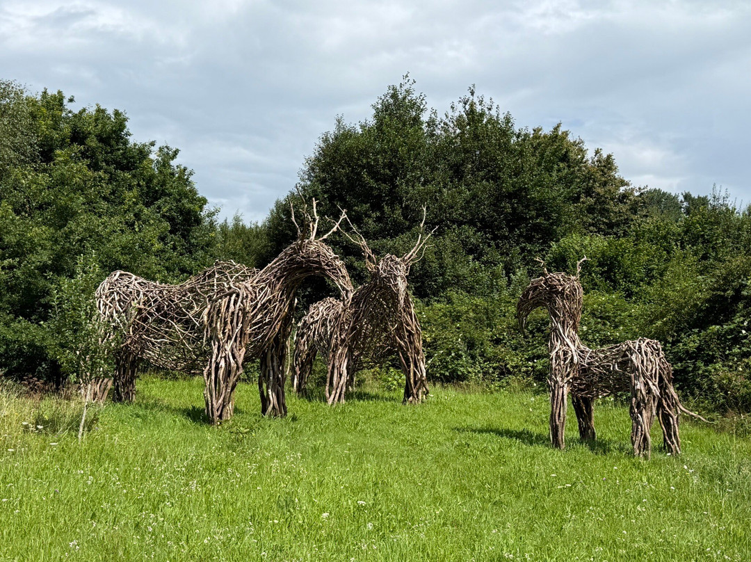 Steinzeitpark Dithmarschen-Albersdorf必去景点