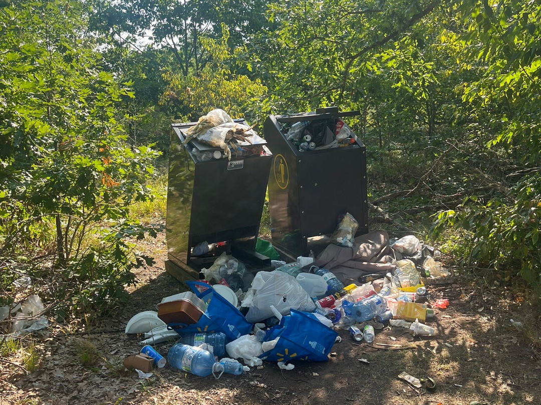 Torrance Barrens Dark-Sky Preserve-Torrance必去景点